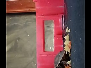 Tartaruga comendo ma&ccedil_&atilde_