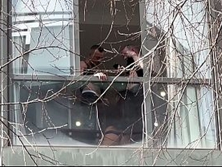 Cuarteto sin l&iacute_mites